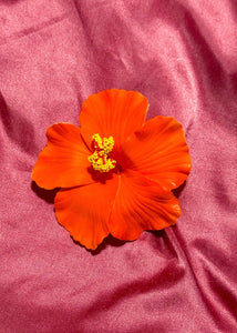 Hibiscus Flower Clip